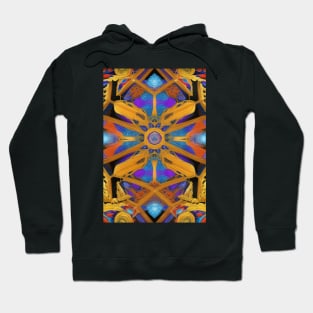 stunning abstract and symmetric design Hoodie